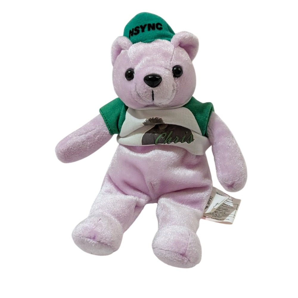 NSYNC Chris Kirkpatrick Purple Plush Bear Green Hat Vintage 2000 Winterland 8.5"
